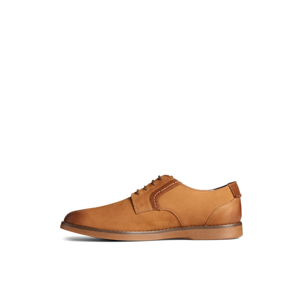 Newman Oxford Dress Shoe Medium Beige - 2